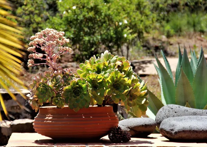 Miramar By Interhome Сasa de vacaciones